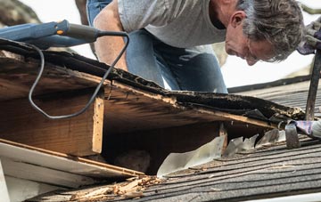 common causes of Plumtree Green fascia damage