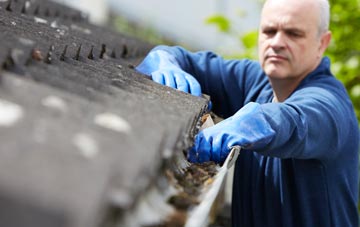 cleaning and inspecting Plumtree Green roofs