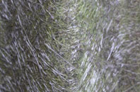 Plumtree Green fibreglass roof work