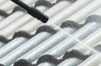 rated Plumtree Green roof cleaning companies